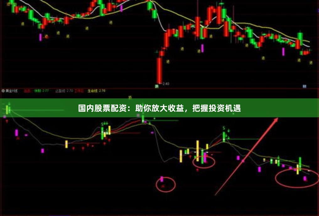 国内股票配资：助你放大收益，把握投资机遇