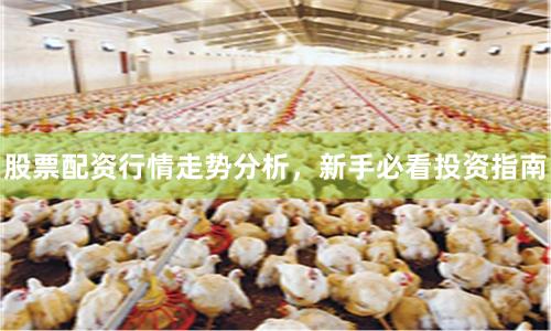股票配资行情走势分析，新手必看投资指南