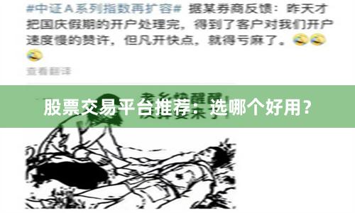 股票交易平台推荐:选哪个好用?