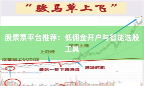 股票票平台推荐：低佣金开户与智能选股工具